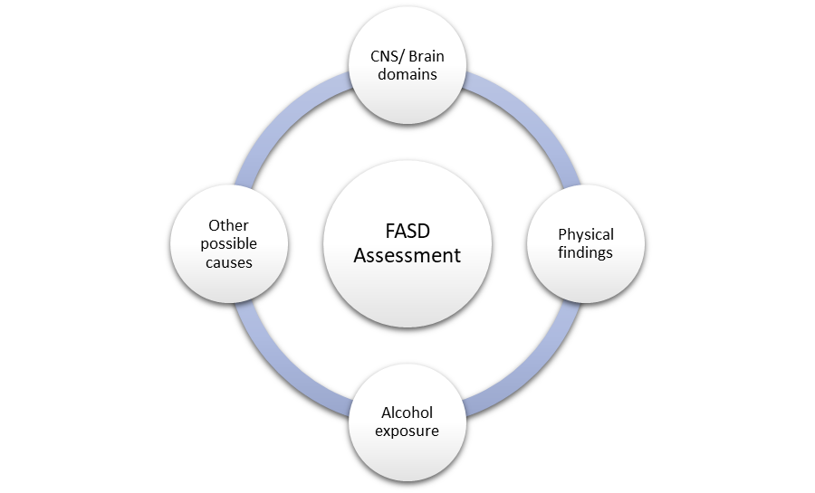 fasd assessment circle